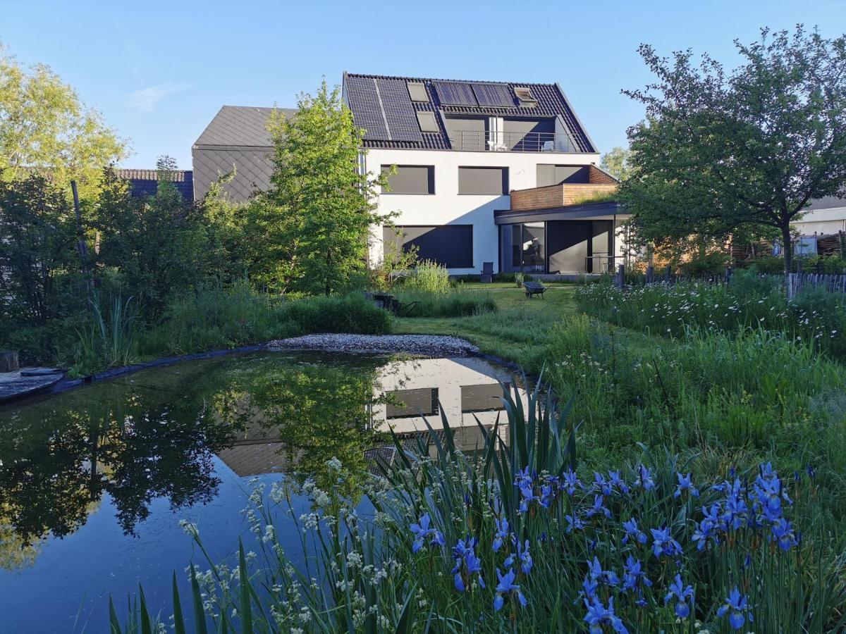 Scrab&Ble Ecologische Gastenkamers 博尔内姆 外观 照片